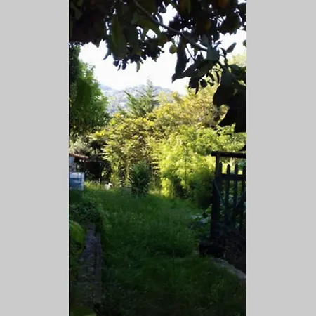 Maisonnette avec vue et jardin, environnement et situation priviligiés